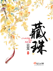 藏珠小说全文免费阅读